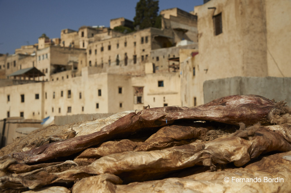 June - 2014
Inside the medina of Fes-el Bàli is Chowara, the district of open-air tanneries, where skins have been tanned manually for almost a millennium.