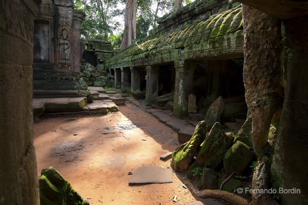 Ottobre - 2017. Tempio TA-PRHOM 
Angkor è il sito archeologico più importante della Cambogia.
Costruito tra il IX° ed il XV° secolo d.C.ospitò la capitale dell’impero Khmer , di cui fu centro religioso e politico. 
Si estende per circa 400 kmq.
