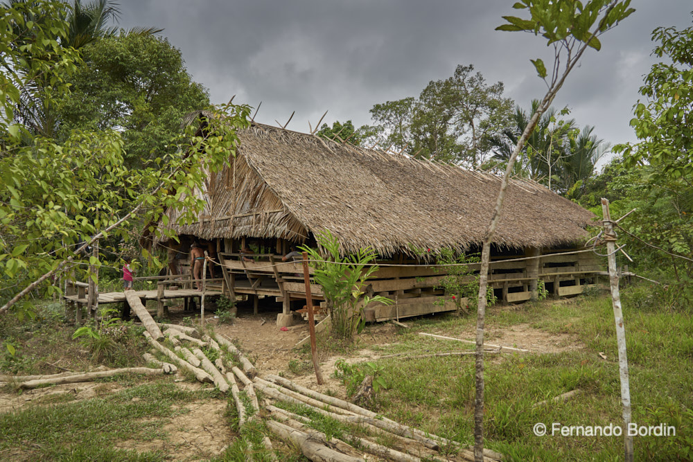 Ottobre -2019.
Servono 5 ore di traghetto veloce da Padang, la capitale dell'isola indonesiana di Sumatra, per attraversare il tratto di circa 120 km di oceano che la separano dall'isola di Siberut. 
Quindi 2 ore di canoa a motore risalendo uno dei fiumi interni all'isola e altrettante ore di cammino a piedi attraverso la foresta selvaggia 
per raggiungere uno dei clan residenti nella jungla profonda, dove vive una tribù quasi primitiva, i Mentawai. 