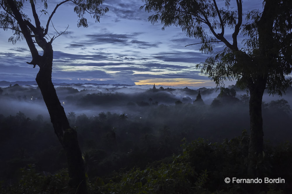 Ottobre - 2016 
Alba a Mrauk-U con i templi fagocitati dalla jungla nello stato di Rakhine - 
Il Myanmar a religione buddista per circa il 95 % è costellato di migliaia e migliaia di templi sparsi in tutto il Paese. 
