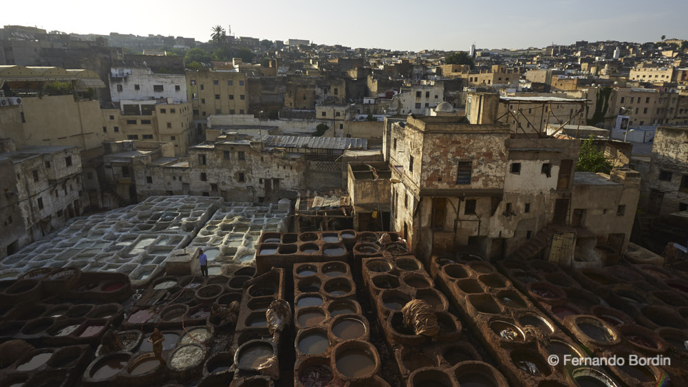 Fes, l’antica capitale politica e culturale del Marocco dall’ VIII° al XIX°sec.  racchiude, all’interno della sua misteriosa  medina, 
il quartiere di Chouara, simbolo stesso della città per le sue concerie all’aperto, dove ancora oggi è in funzione l’attività di concia manuale delle pelli, tramandatasi nei secoli.
Antichi gesti, duro lavoro, dignità  ed orgoglio delle persone, generano pelli, tra le migliori al mondo, in uno scenario surreale che ha origine nel lontano medioevo.                 
                      (2015)