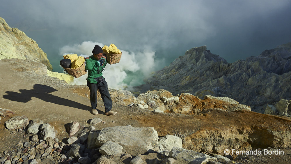 Isola di Java, INDONESIA  - Raccolta e trasporto zolfo Vulcano Ijen (2017)