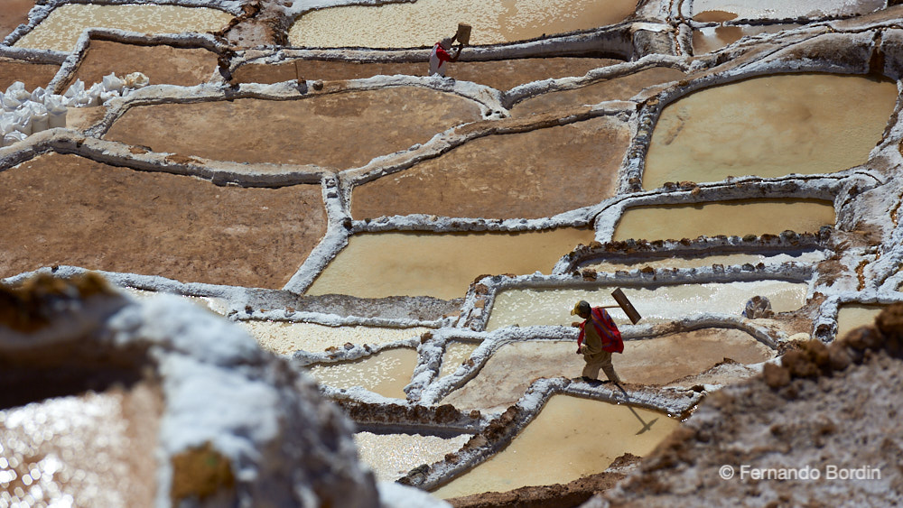 A Maras in Perù, fin dal tempo degli Incas, le acque salate che scaturiscono dalla montagna vengono raccolte e lasciate ad evaporare in migliaia di vasche costruite sul suo pendio.                                                                                       
In un luogo quasi surreale per l’incredibile bellezza i “salineros “ ,con duro lavoro, estraggono il prezioso sale… 
l’oro bianco degli Incas.
 (2017)