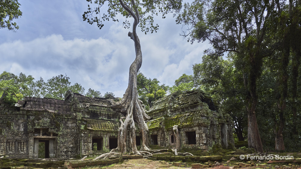 Angkor is the most important archaeological site in Cambodia. Built between the 9th and 15th centuries AD. it hosted the capital of the Khmer Empire, 
of which it was the religious and political center.
After the city was abandoned in the 16th century, it was engulfed by the jungle and fell into oblivion.
Rediscovered after about three centuries, it generated the myth of the “lost city in the jungle” in the West.
A mysterious charm continues to envelop this carved gem where unexpected “treasures and wonders” can be discovered. (2019)