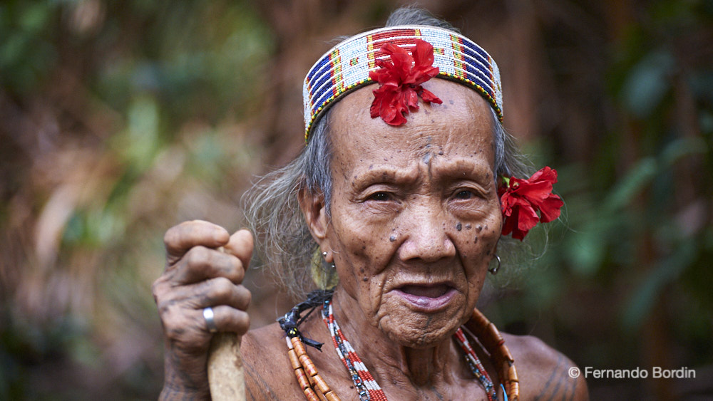 In the deep jungle of the island of Siberut, in Indonesia, there are some clans of an almost primitive tribe, the Mentawai. 
A tribe proud of their traditions and ways of life that try to resist modernity in every way. Isolated from the civilized world they live on what the jungle offers them. 
Kuki, an old shaman will accompany us in the discovery of their way of life. (2020)