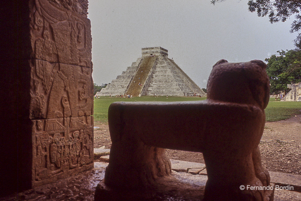 Agosto - 1991
Chichén Itzà, nella penisola dello Yucatan. 
Il giaguaro con sullo sfondo la piramide a gradini dedicata al dio Kukulkan( il serpente piumato),  denominata anche il "Castillo" 