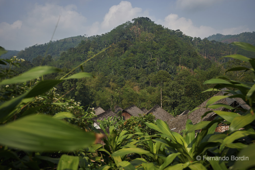 Ottobre 2019 - Nella jungla profonda di Banten nell'ovest di Java, vive isolata dal mondo esterno, la tribù dei Baduy. 
Il primo dei tre villaggi visitabili è a due ore di cammino dal punto di partenza più vicino, percorrendo un sentiero acciottolato all' interno della jungla. 