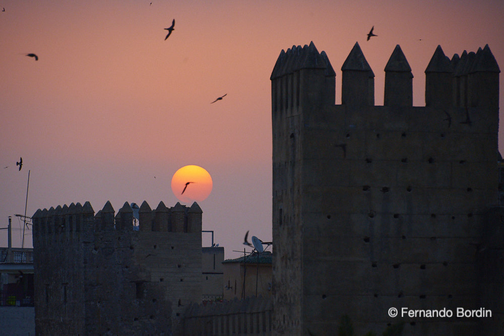 Sunrise in Fes - June 2014