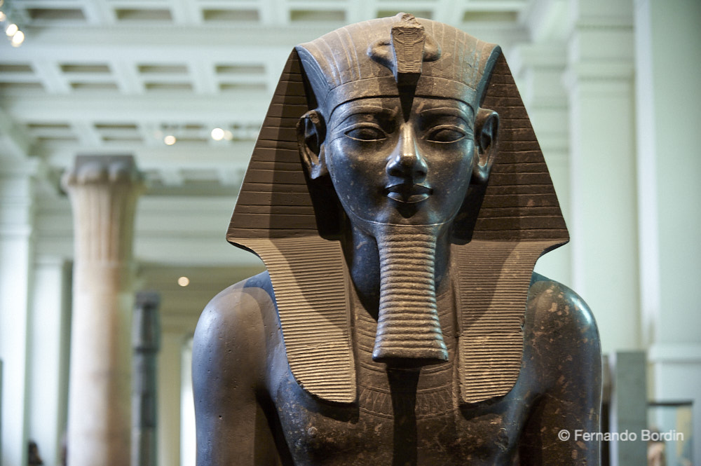 Statua di Amenhotep III  XVIII Din. (1350 a.C.) 