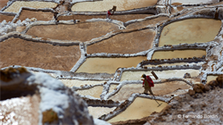 In Maras in Peru, since the time of the Incas, the salty waters that flow from the mountain are collected and left to evaporate in thousands of tanks built on its slope. 
In an almost surreal place for its incredible beauty, the "salineros", with hard work, extract the precious salt ... the white gold of the Incas. (2017)