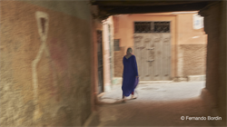 Ancora prima dell’alba le medine di Fes e Marrakech iniziano ad animarsi di vita per il nuovo giorno che inizia. 
Un brulichio frenetico di uomini, donne, bambini e  animali pervade il cuore delle antiche cittadelle.
Uno spaccato di vita quotidiana tra voci, suoni e bellissimi colori.
 (2017)